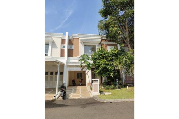 Flamingo Gading Serpong Tangerang