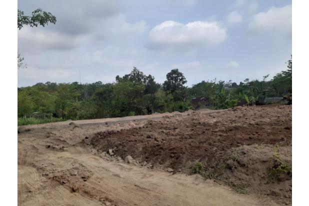 Tanah Solo di Grogol, Kaplingan