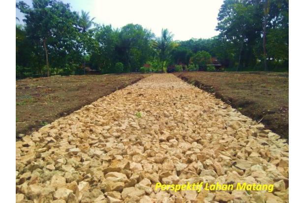 Tanah Solo di Grogol, Kaplingan