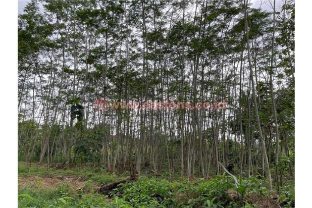 Dijual Tanah Kavling di Purwokerto Timur (PW000720)