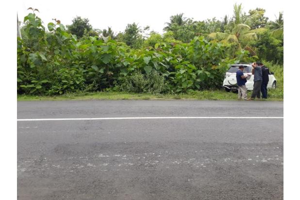 Tanah Strategis Pinggir Aspal di Jalan Pengasih Sentolo