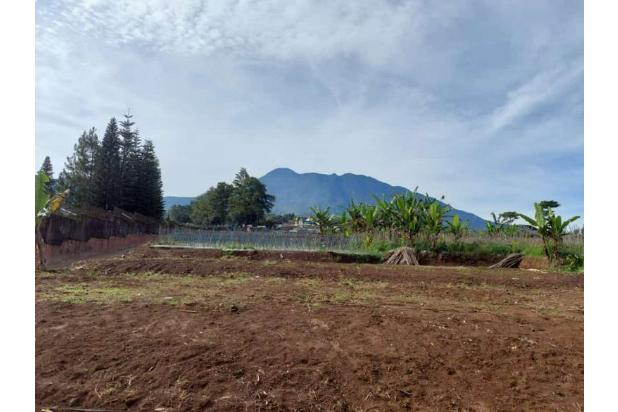 Tanah untuk villa taman safari cisarua bogor