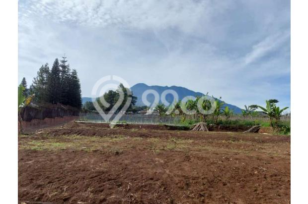 Tanah untuk villa taman safari cisarua bogor