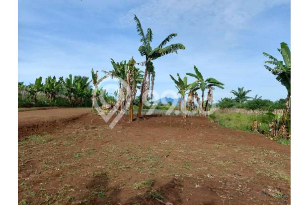 Tanah untuk villa taman safari cisarua bogor