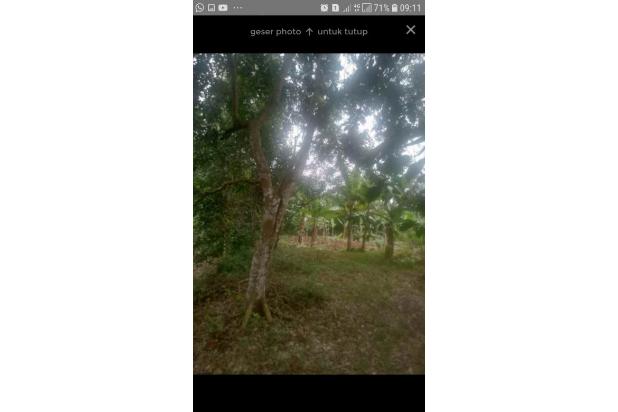 Dijual Lahan Komersil Dekat Untirta Serang Banten