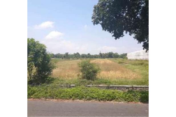 Tanah Kosong Jalan Ovensari Raya Luas 2.400 m2, Desa Menuran,