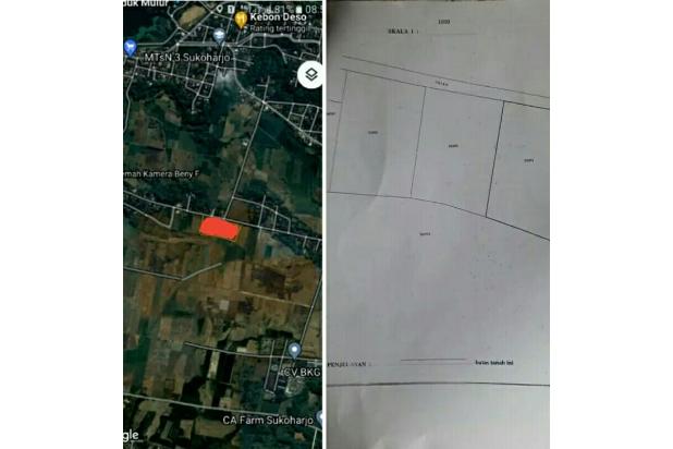 Tanah Lt 5180m² Bendosari mulur Jagan sukoharjo