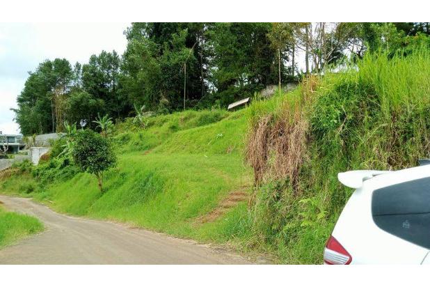 Tanah kontur strategis cocok untuk villa di puncak bogor