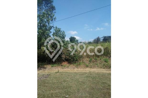 Tanah luas cocok untuk usaha di Randuagung Singosari Malang