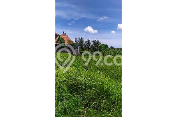 Tanah dengan view sawah super cantik di Tegenungan