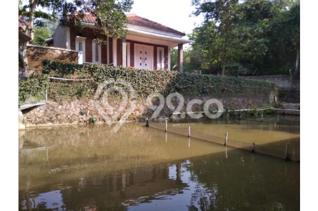 Tanah di pasir impun bonus balong dan 4 rumah