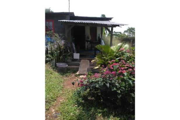 Tanah luas di Palasari Cijeruk