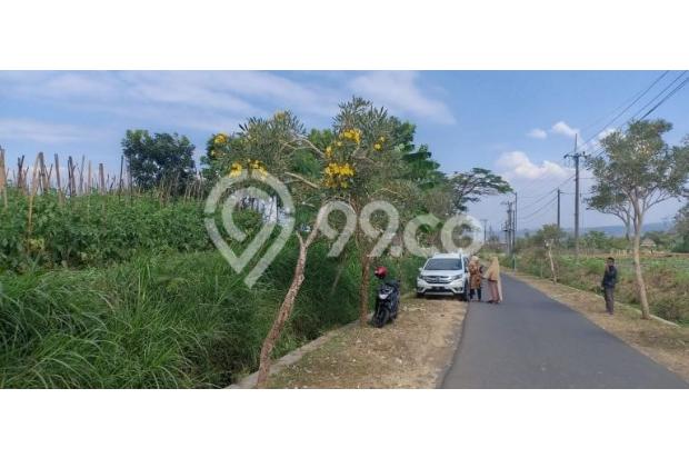 Tanah murah poros jalan aspal di Lasah Karangploso Malang