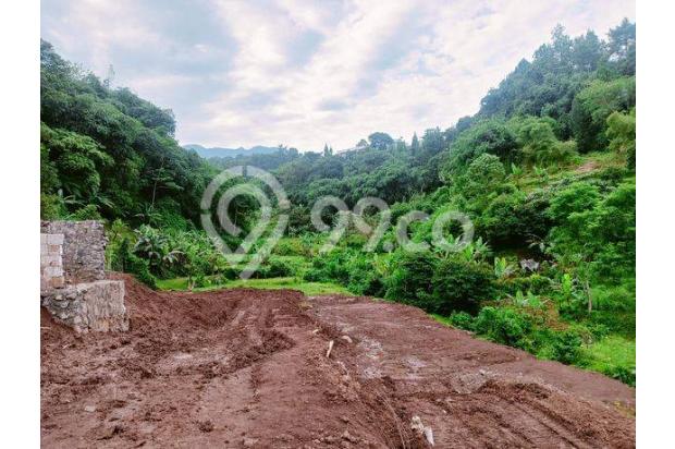 Di Jual Tanah Strategis Di Puncak Bogor Dekat Wisata 