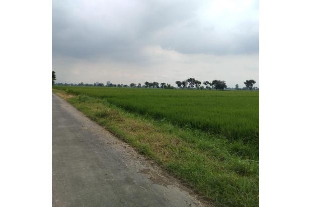 Tanah luas di Baki
