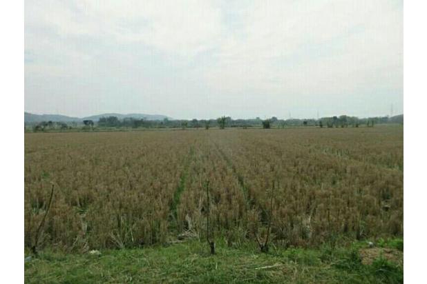 JuaL Tanah Sawah Lt 2750m² Harga 250jt .Lokasi Bulu Sukoharjo Jawatengah