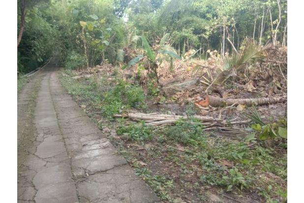 Miliki Tanah Murah Di Pengasih Kulonprogo Cocok Untuk Kavlinga