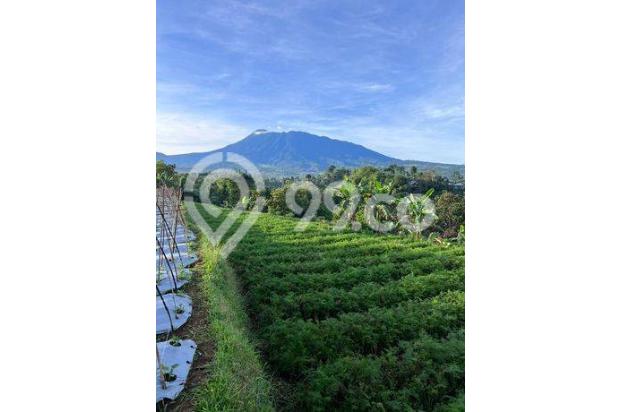 Tanah di Cisarua Puncak 500 m² SHM Milik pribadi, 1,3jt/m²