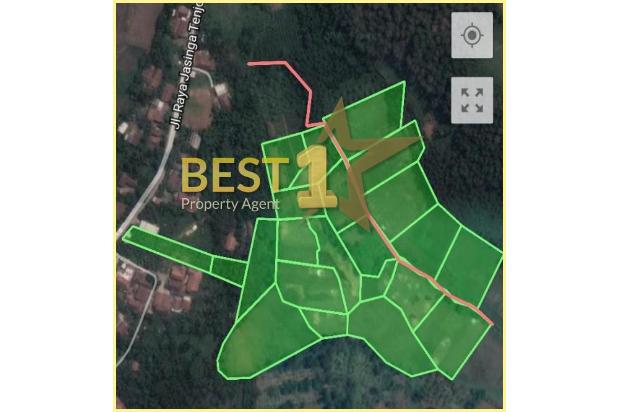 Tanah Luas Di Jasinga BSD, Lokasi Strategis!!