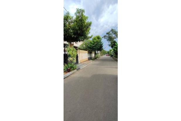 Rumah Camar di Bintaro,yani