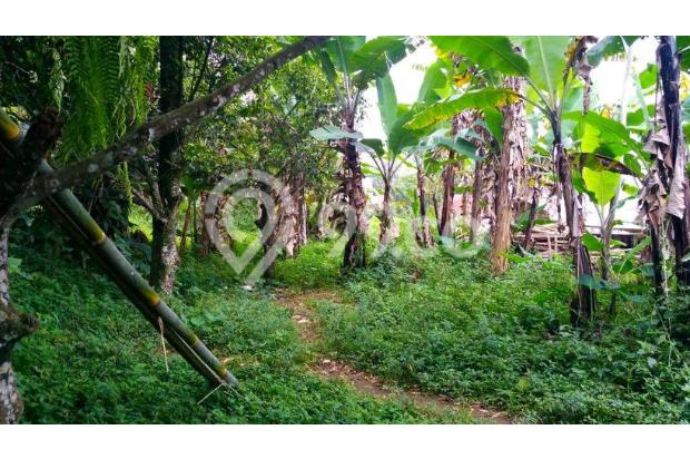 lokasi Buat rumah tinggal+Villa+ investasi di bogor selatan ciawi