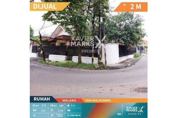 A215 Rumah Posisi Hook Dijual Jalan di Ikan Ikan, Blimbing, Malang