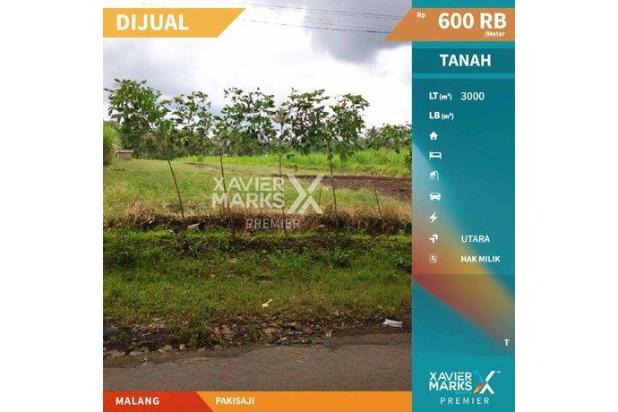 Lahan Investasi Prospektif Potensi Profit Tinggi