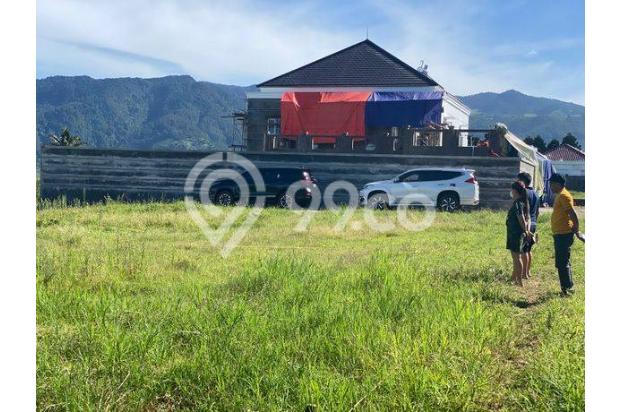 Tanah Cisarua Puncak Luas 300m2 Murah Shm