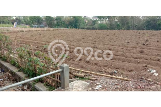 Tanah murah dan strategis di  Malang