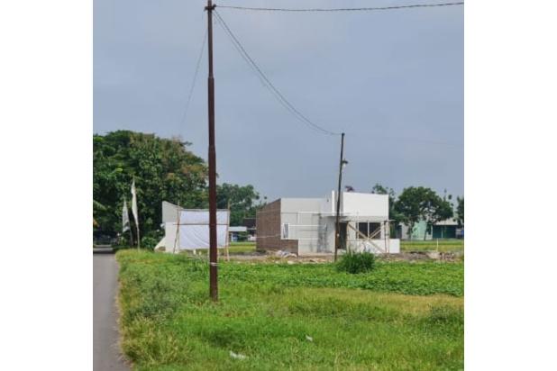 Tanah Solo , SHM