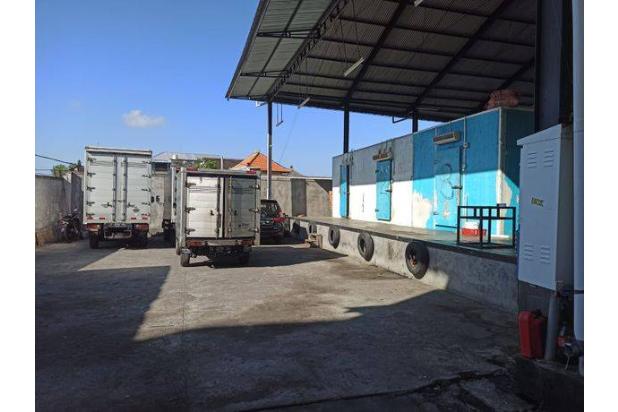 Gudang Coldstorage Gunung Agung Denpasar 