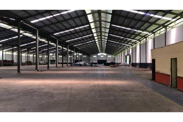 Gudang di Cipeucang Klapanunggal Cileungsi Bogo. Luas Tanah 46062 M2. Shgb.