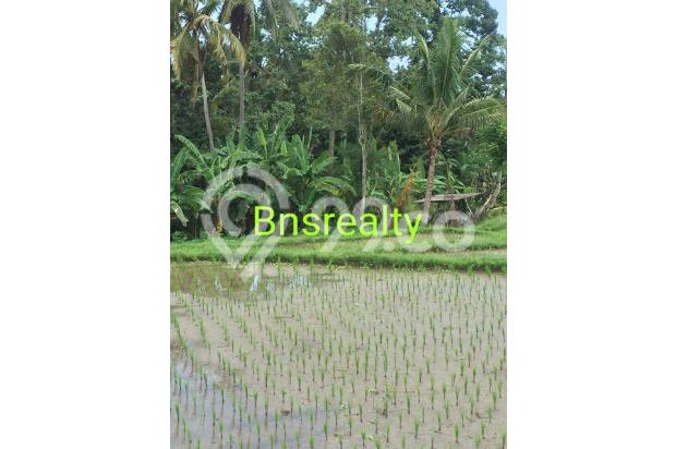 Tanah Lokasi Ubud