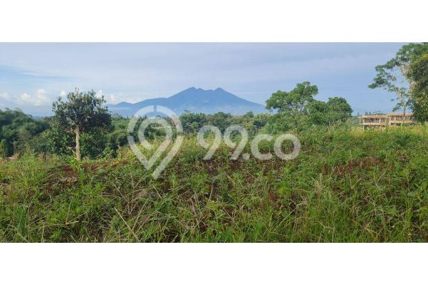TANAH VIEW GUNUNG GEDE PANGRANGO DAN SUMBER AIR NGALIR