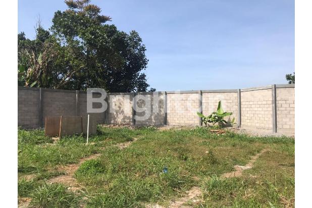 TANAH SHM BISA BUAT VILLA ATAUPUN USAHA