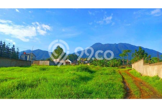 SIAP DI BANGUN TANAH MURAH LEGALITAS SHM PUNCAK BOGOR