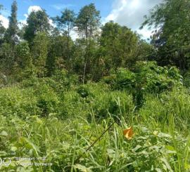 Tanah Strategis Kota Serang 14ha view gunung