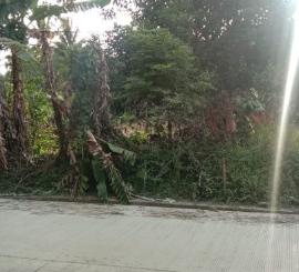 Tanah Strategis Kota Serang 14ha view gunung