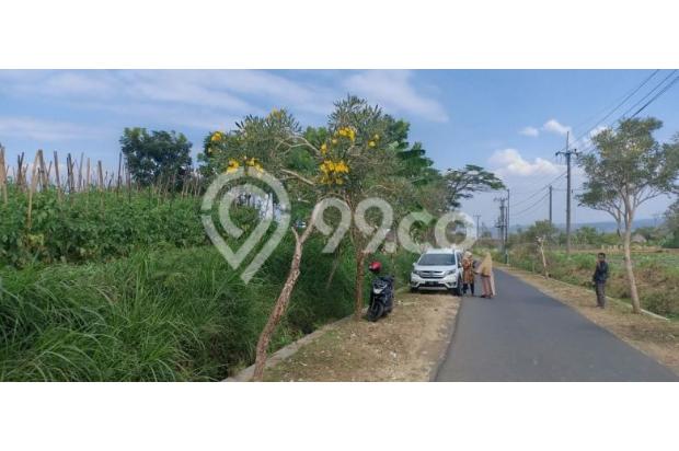tanah murah dan strategis poros jalan di Lasah Karangploso