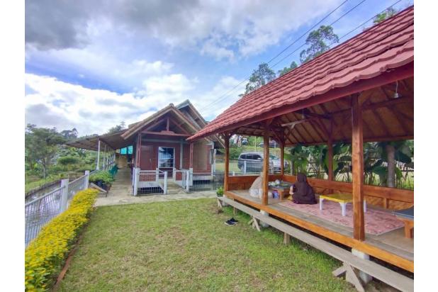 Dijual Tanah View Pegunungan Bonus Rumah di Cisurupan Garut