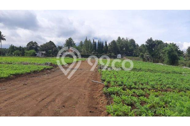 Jual Tanah Di Puncak Bogor Dekat Wisata 