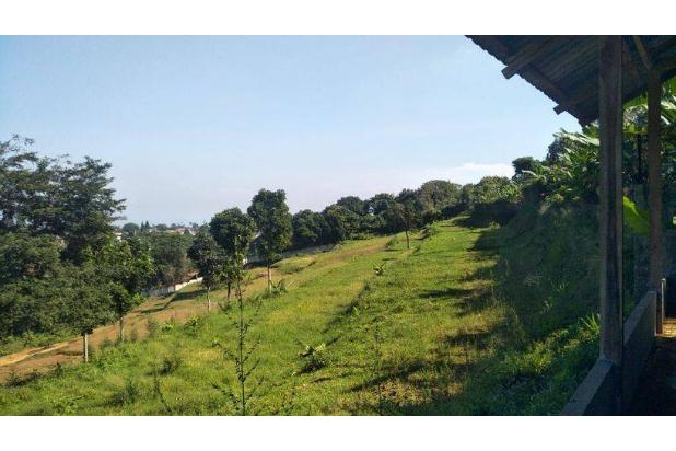 JUAL TANAH MURAH LEGALITAS SHM PUNCAK BOGOR