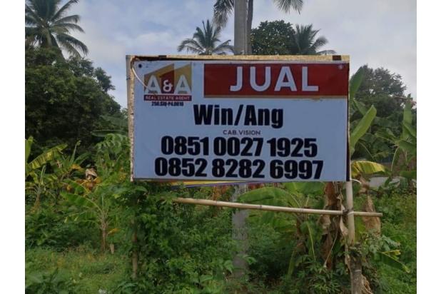 Tanah Komersial 0 Jalan Rogojampi Banyuwangi