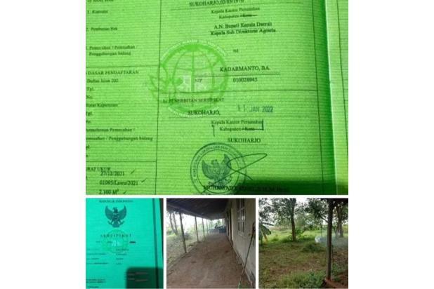 Tanah Bonus  Rumah Nguter Kedungasih Sukoharjo