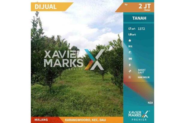 Tanah Kebun Jeruk di Karangwidoro Dau Malang Strategis 