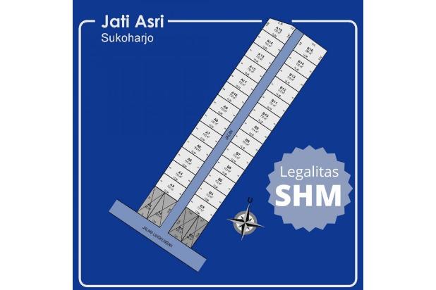 Tanah Solo , SHM
