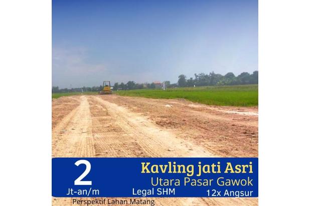 Tanah Solo , SHM