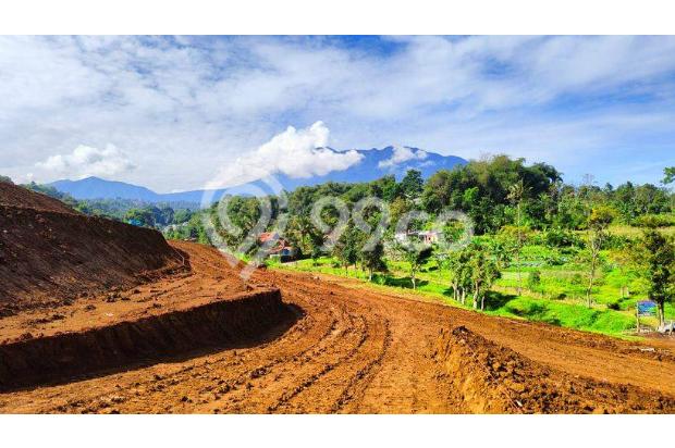 Tanah khas asri alami di puncak Bogor SHM 
