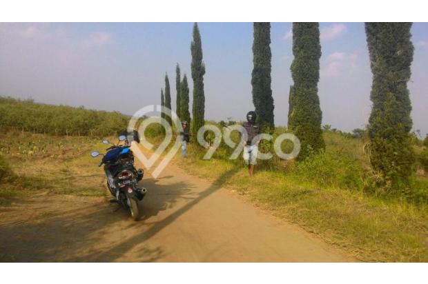 tanah murah lokasi rekesan bumiaji