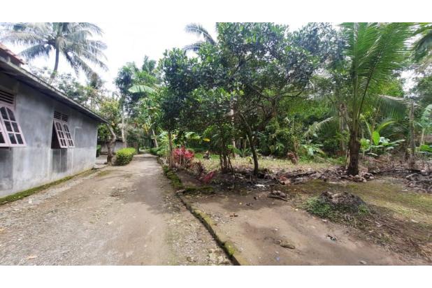 Area Bandara YIA, Cocok Bangun Kost